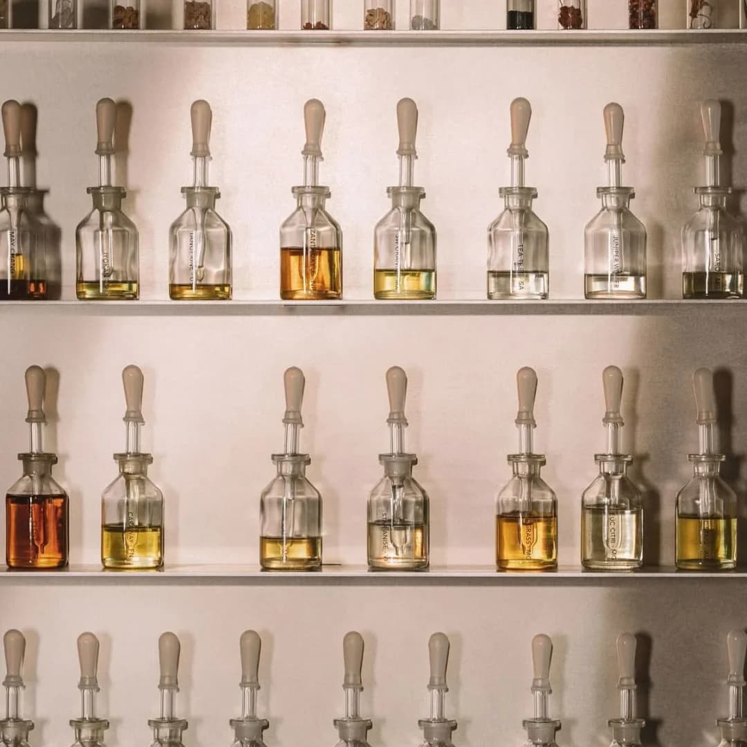 White jasmine flowers - Natural fragrance ingredients