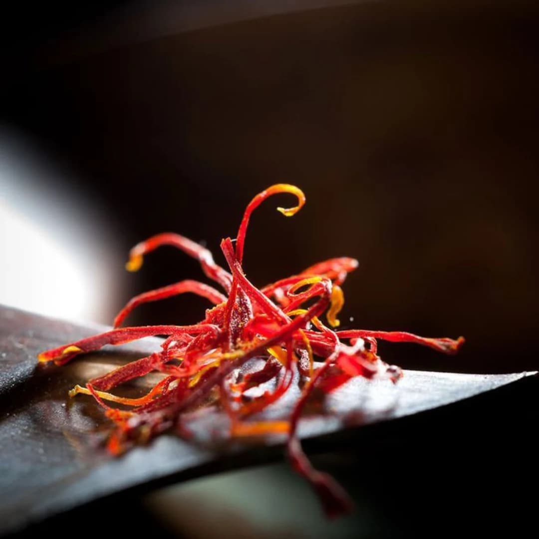 White jasmine flowers - Natural fragrance ingredients