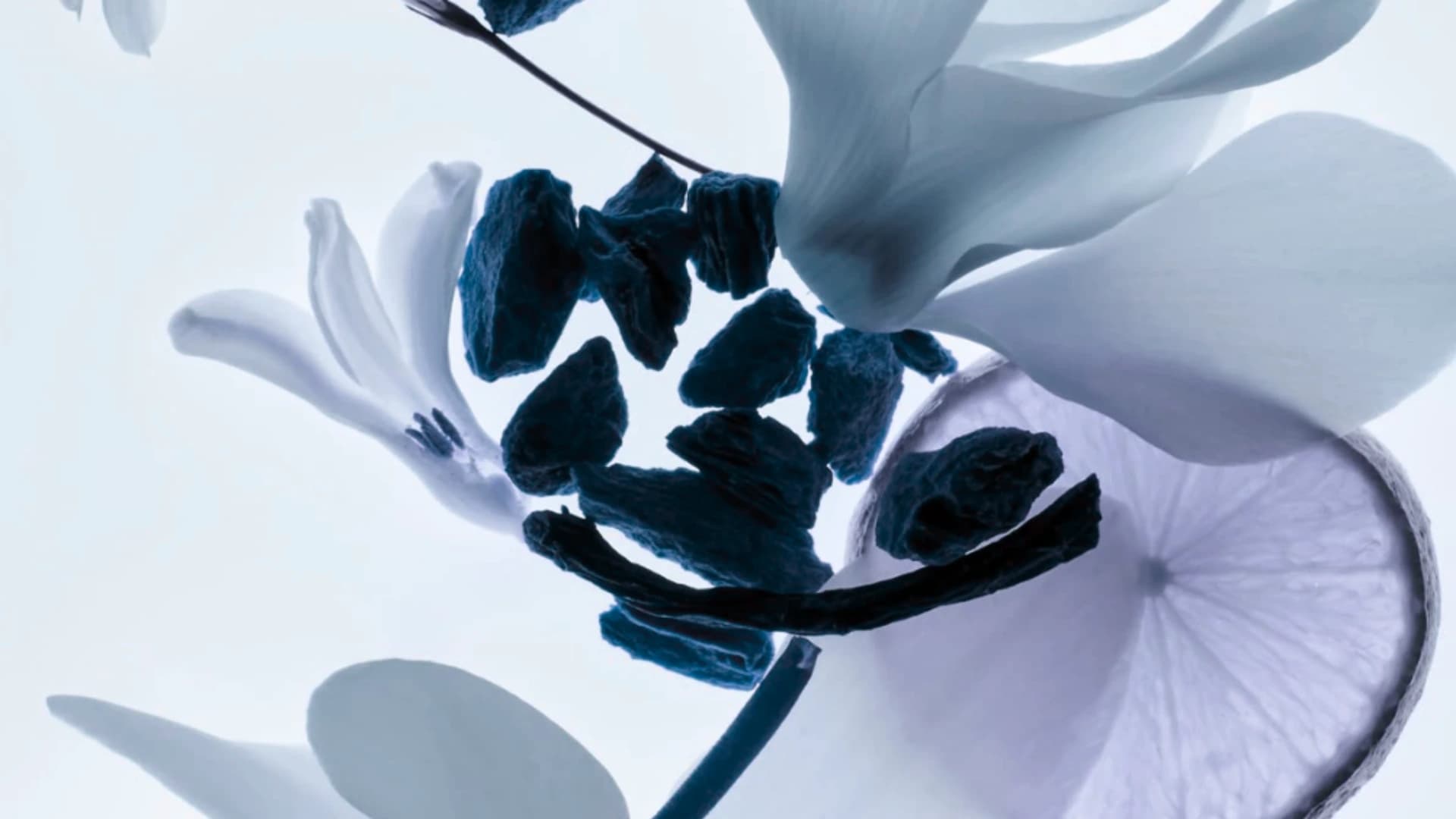 Luxury fragrances - premium perfume collection